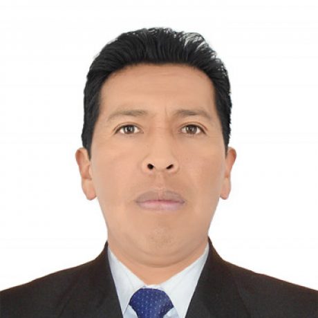Foto del perfil de David Fernandez Chura