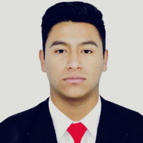 Foto del perfil de Karol Ludolfo Cabrera Aragon