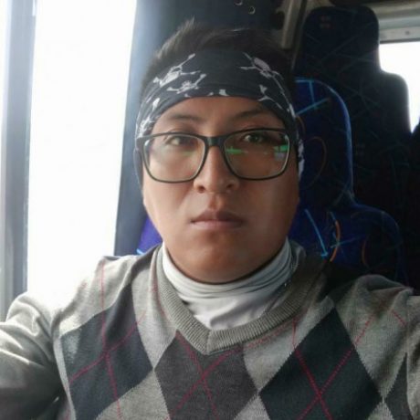Foto del perfil de DAVID QUISPE APAZA