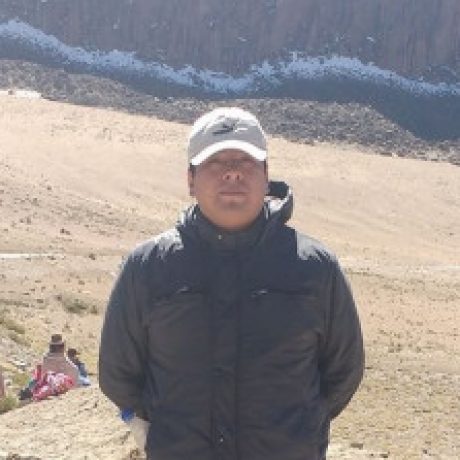 Foto del perfil de Milton Dennis Viza Calisaya