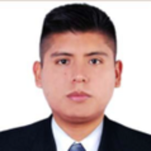 Foto del perfil de Ramiro Alonso Nina Hañari