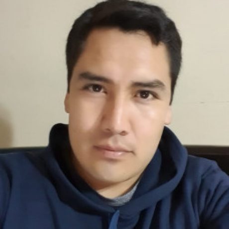 Foto del perfil de Robert Yuri Liñan Melgarejo