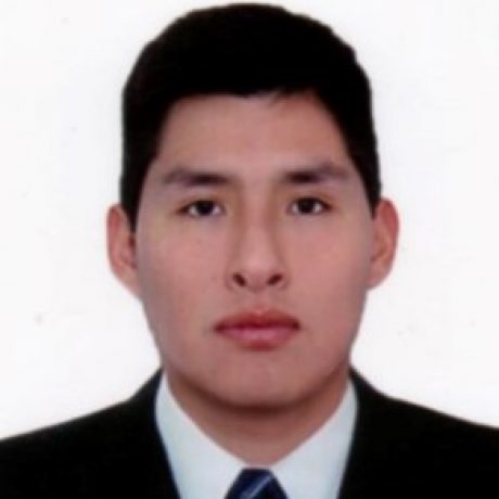Foto del perfil de Yunior Walter Puma Flores