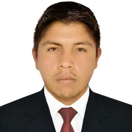 Foto del perfil de Wilson Flores Taipe