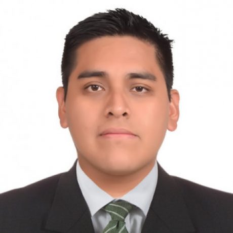 Foto del perfil de MÁXIMO PERCY RAMOS ARANA