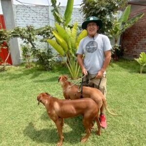 Foto del perfil de Samuel Beltran Guerrero Guerrero