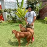 Foto del perfil de Samuel Beltran Guerrero Guerrero