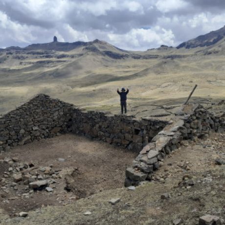 Foto del perfil de JUAN MEZA CASTILLO