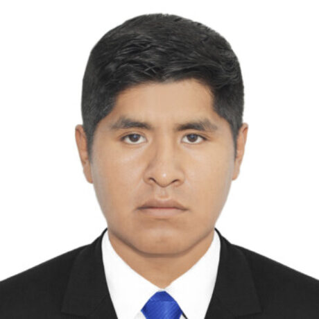 Foto del perfil de LUIS MIGUEL MAMANI MAMANI