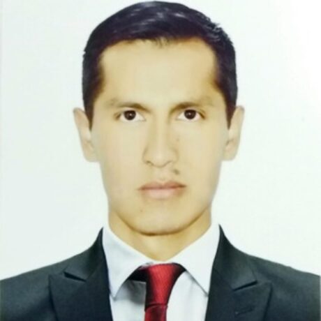 Foto del perfil de MICHAEL JULIAN GORVEÑA HUISA