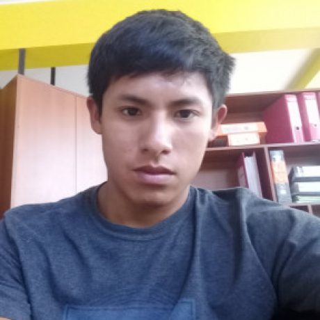 Foto del perfil de Johany Alfonso PALOMINO PAUCAR